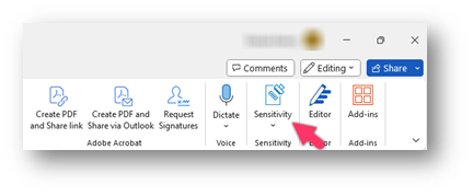 Sensitivity Labels