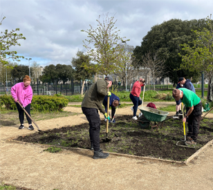 Image for Grangegorman Community Garden - Living Lab initiation