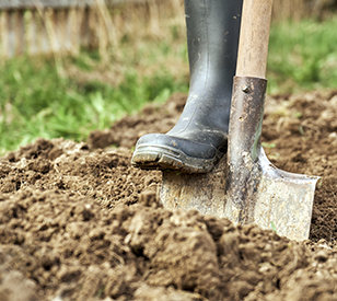 Image for Grangegorman Community Garden - Living Lab soil health update