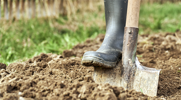 Image for photo of boot digging soil