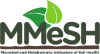 www.mmeshproject.com Logo