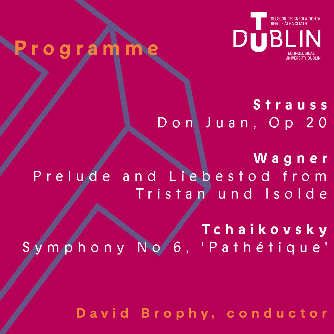 TUD Philharmonic Programme Feb 15 - News Main