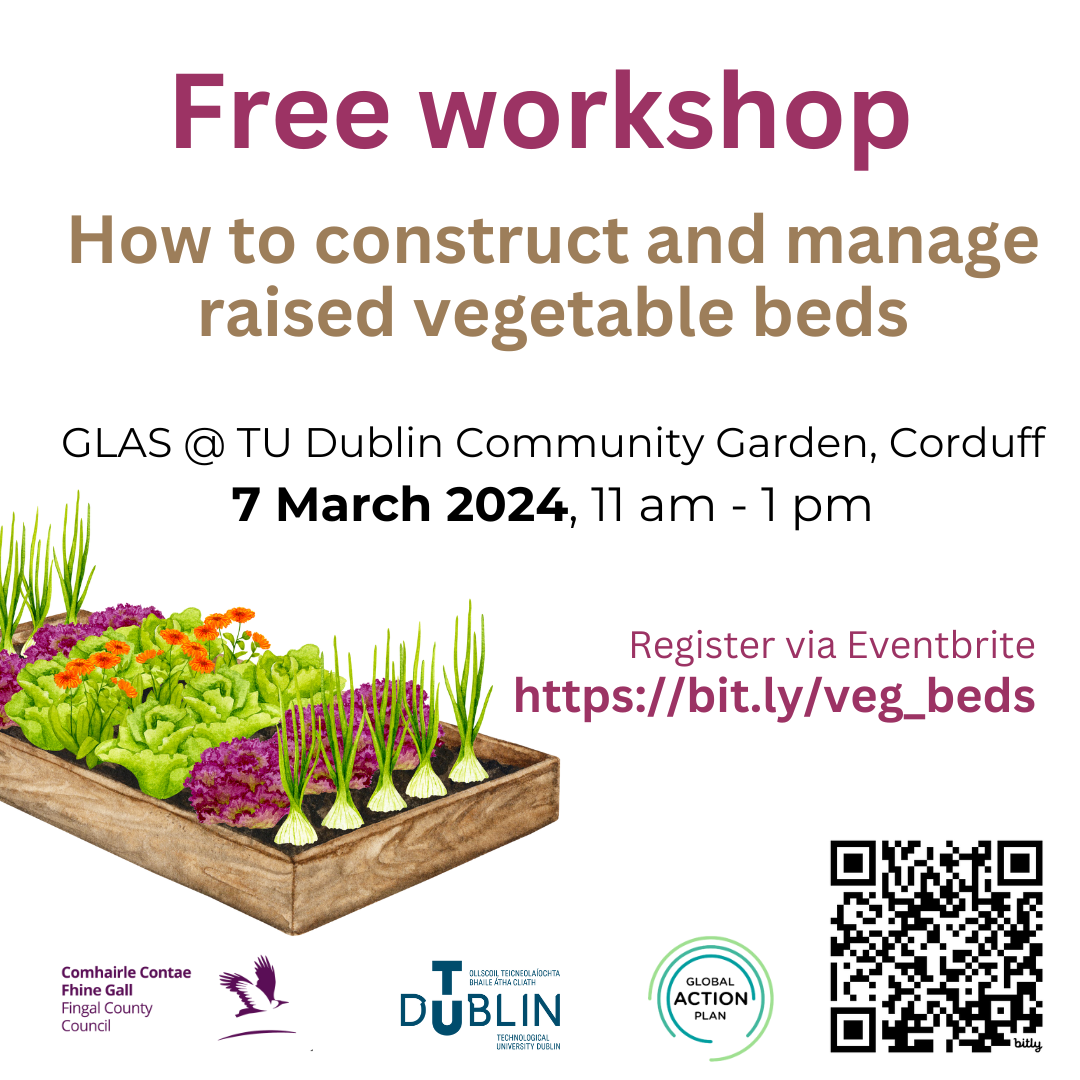 Raised Beds Free Workshop