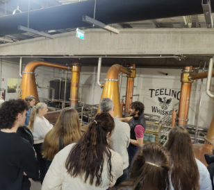 Image for Teeling Whiskey Distilllery