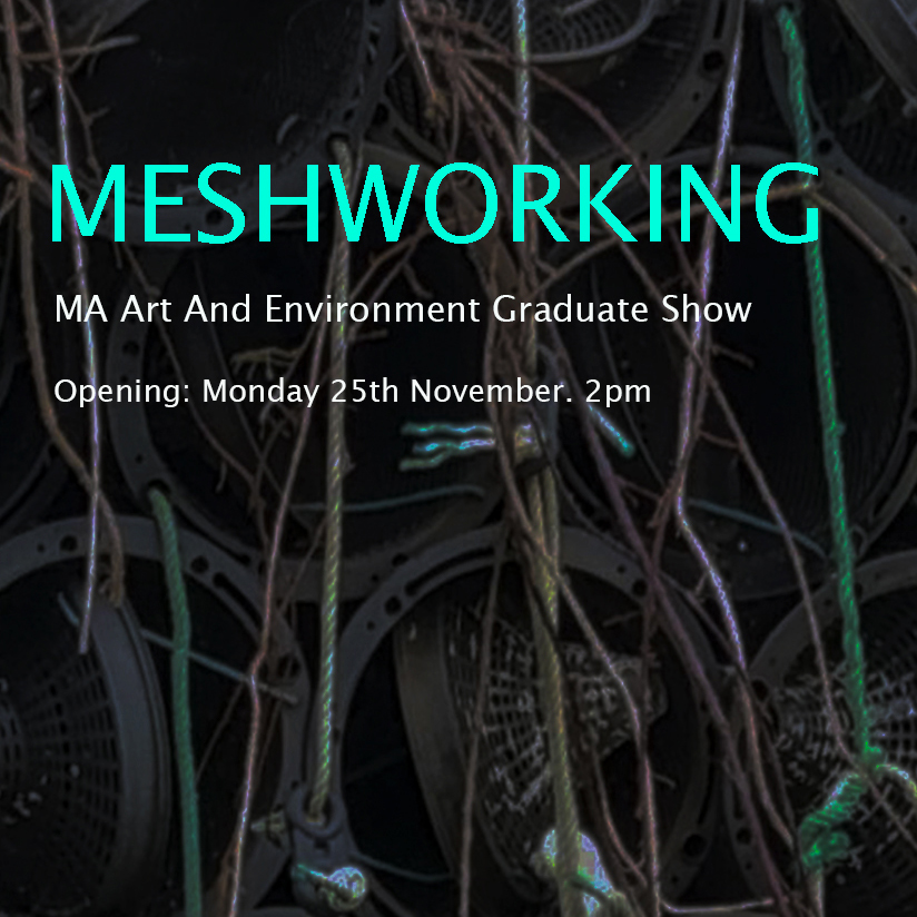 Image for Meshworking: MA Art and Environment Graduate Exhibition