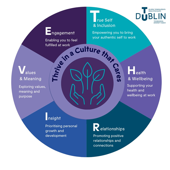 Thrive Framework | TU Dublin