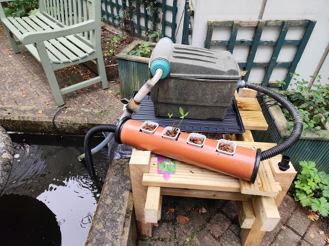 The living filter in the Courtyard Garden on the TU Dublin, Tallaght Campus