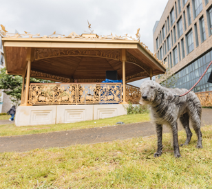 Image for Imeacht Tionscnaimh ag campas Ghráinseach Ghormáin OT Baile Átha Cliath ag ceiliúradh nochtadh THE GOLDEN BANDSTAND – Sculpture