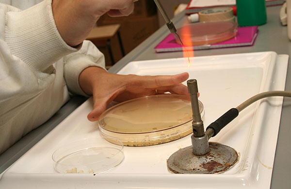 FACILITIES-MICROBIOLOGY-LAB