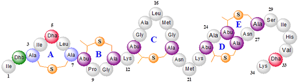 graphic of molecular design - MDS