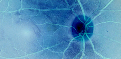 Image for Centre for Eye Research Ireland (CERI)